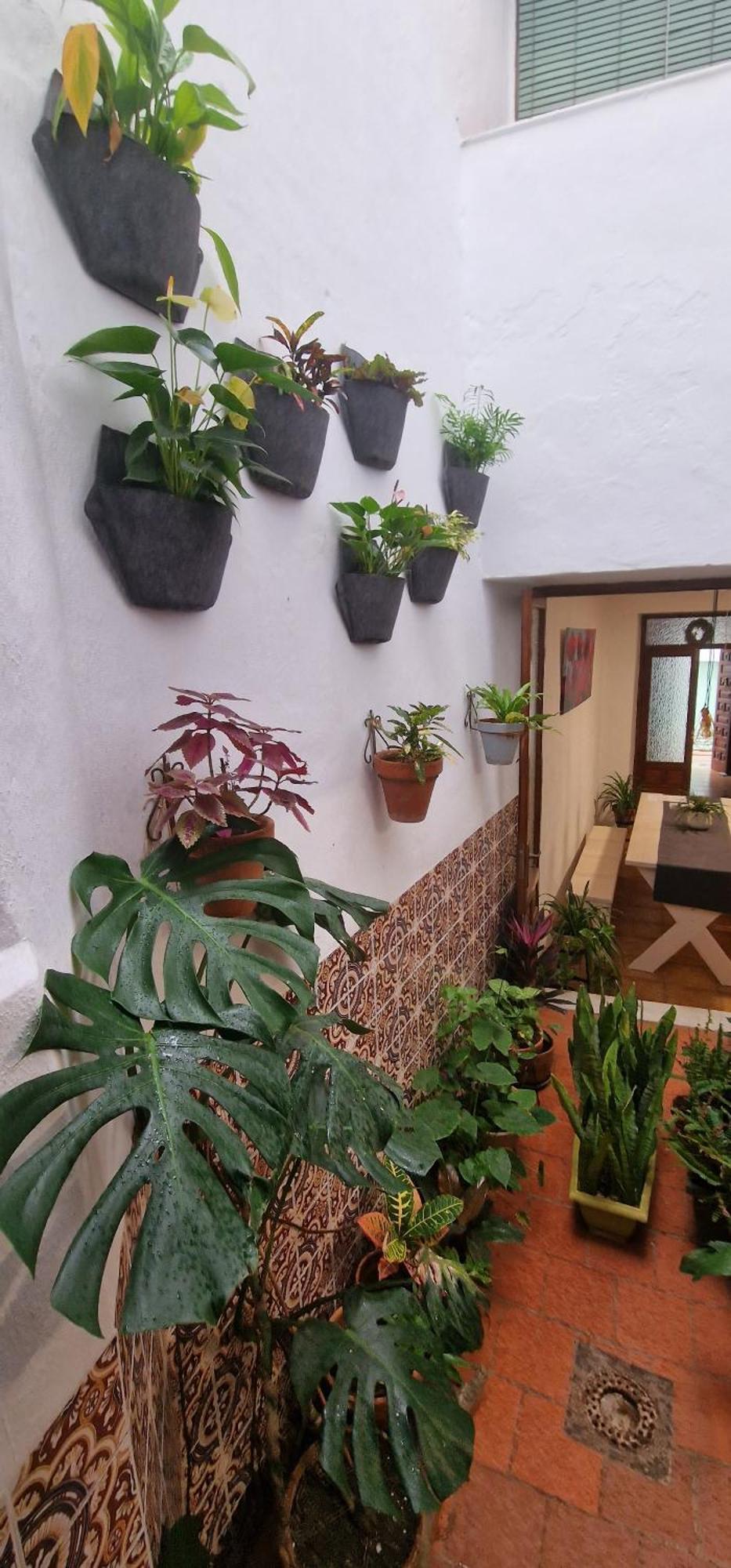 La Casa De Abuela Habitaciones Con Bano Compartido En El Casco Historico De Frigiliana "Solo Adultos" Exteriör bild